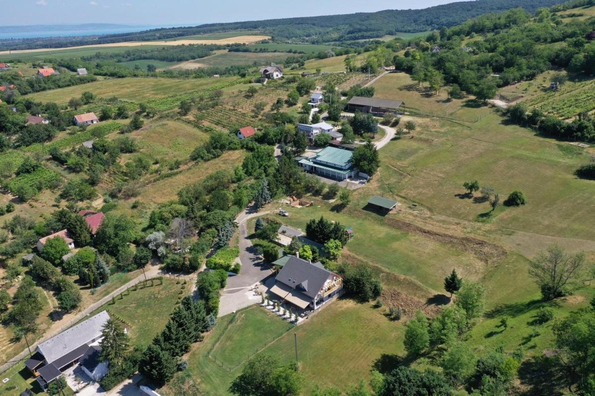 Borkuti Panzio Es Apartman Balatonszárszó 외부 사진